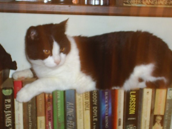 bookend