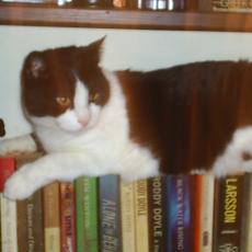 bookend