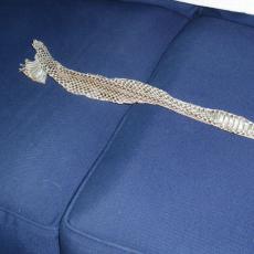 snake skin2