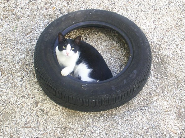 tyred