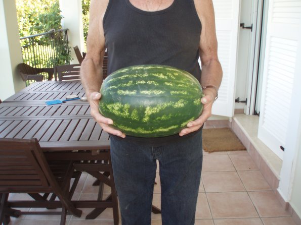 water melon1